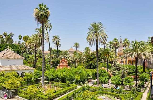 Jardin de l'Alcazar de Séville Jardin de l'Alcazar de Séville