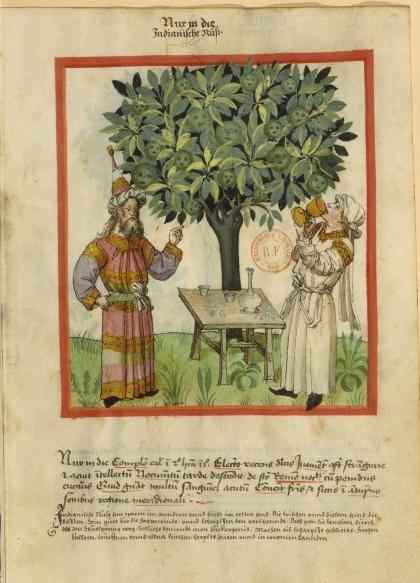 Illustration médiévale