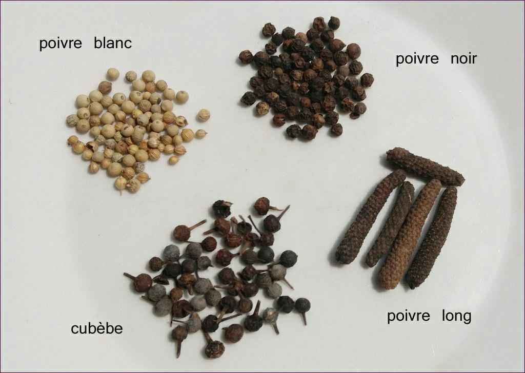 Poivres et cubèbe